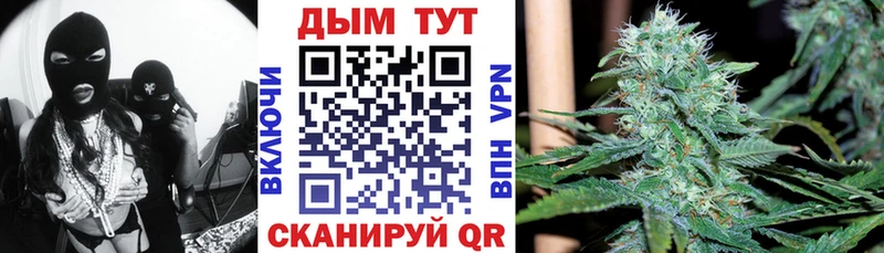 Каннабис гибрид Купить закладки Канаш